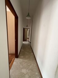 Frankel Estate (D15), Detached #561088491
